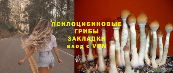 стафф Абаза