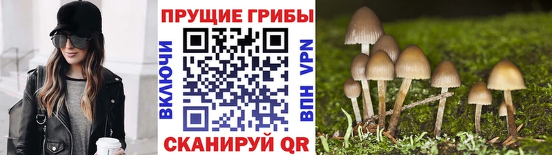 Псилоцибиновые грибы Magic Shrooms  Ужур 